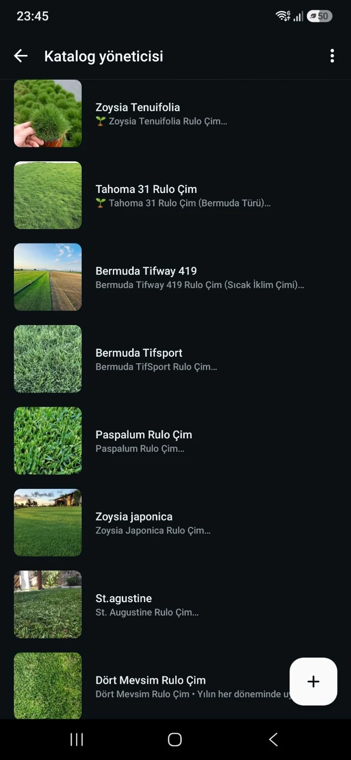 Zoysia tenuifolia katalog fotoğrafı